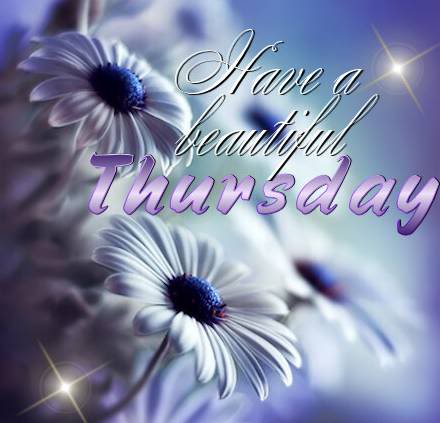 Have a Beautiful Thursday!