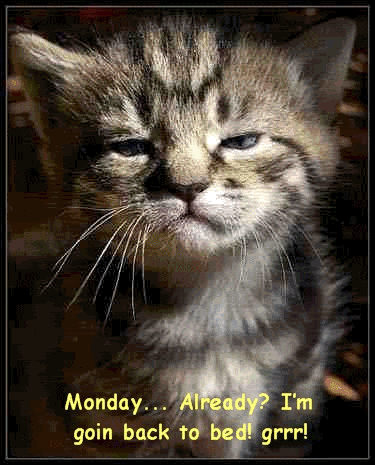 Monday... already? I'm goin back to bed! Grrr!