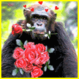 Monkey In Love