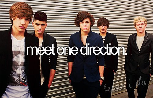 Meet One Direction