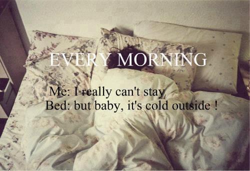 Every morning:..