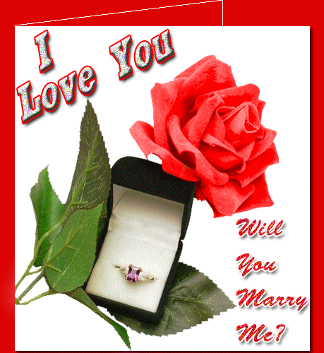 I love you. Will you marry me?