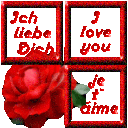 I love you. Ich liebe dich. Je t'aime. 