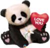 Love You. Cute Panda
