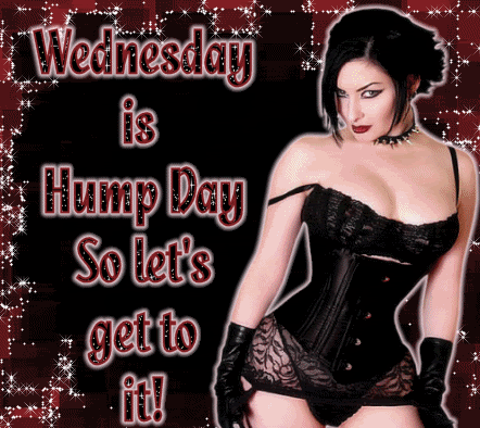 Wednesday is Hump Day So let's get to it!