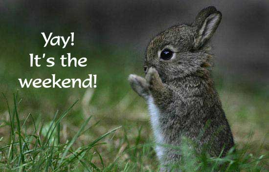 Yay! It's the weekend!