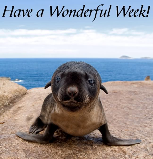 Have a Wonderful Week!