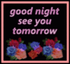 Good Night See You Tomorrow