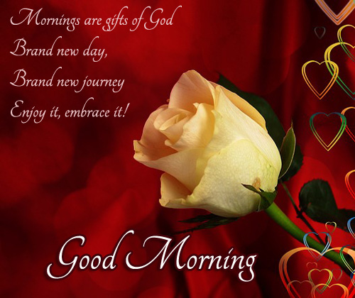 Good Morning: Mornings are gifts of God Brand new day Brand new journey Enjoy it, embrace it!