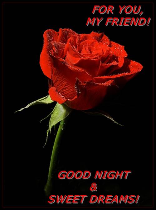 For you, my Friend! Good Night & Sweet Dreams!