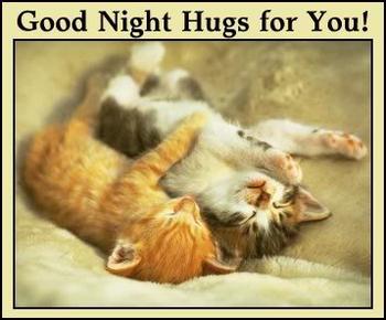 Good Night Hugs for You!