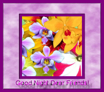 Good Night Dear Friends!