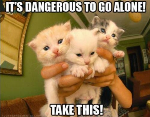 LOL cat: It's dangerous to go alone! Take this!