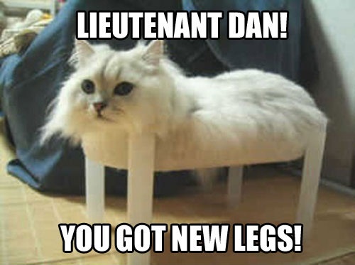 LOL cat: Lieutenant dan! You got new legs!