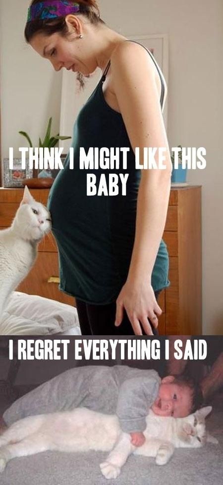 LOL cat: I think I might like this baby...I regret everything I said