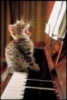 LOL cat: I'm singer!