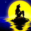 Mermaid and the Moon in the night