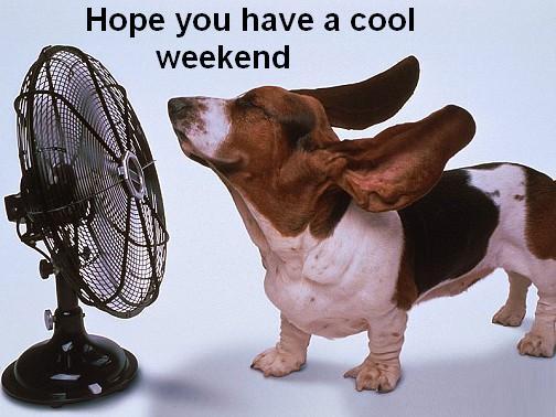 Hope you have a cool weekend