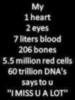 My 1 heart 2 eyes 7 liters blood 206 bones 5.5 million red cells 60 trillion DNA's says to u "I MISS U A LOT"