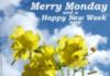 Merry Monday and a Happy New Week