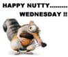 Happy Nutty....Wednesday!