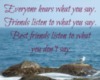 Everyone hears what you say. Friends listen to what you have to say. Best friends listen to what you don't say.