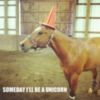 LOL: Someday I'll be a unicorn