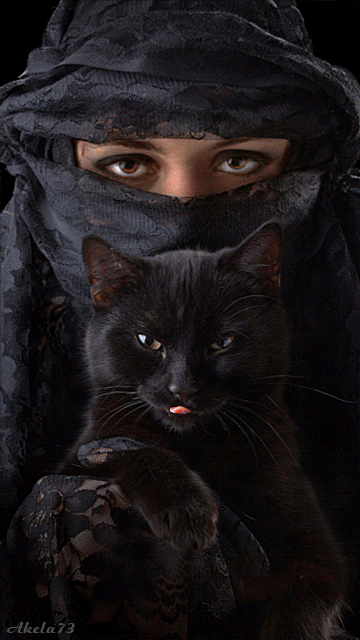 Oriental Beauty & Black Cat