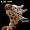 Kiss me!