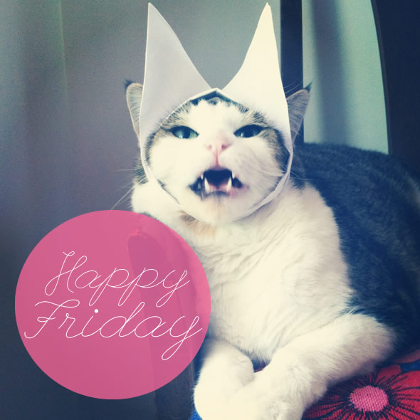 LOL cat: Happy Friday :: Friday :: MyNiceProfile.com