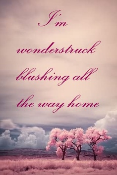 I'm wonderstruck blushing all the way home