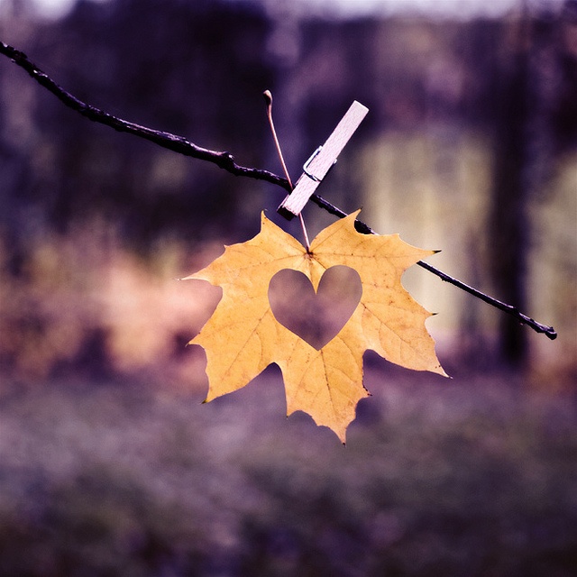 Autumn Love Heart