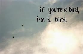 If you're a bird, i'm a bird.