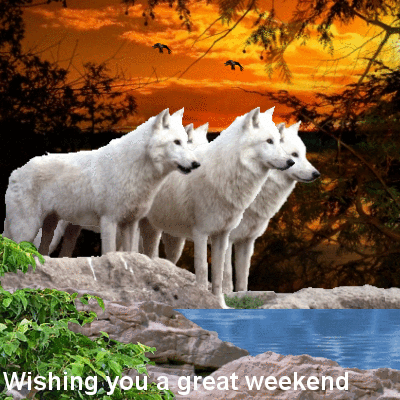 Wishing You a Great Weekend