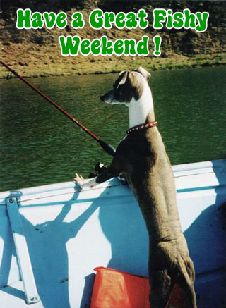 Have a Great Fishy Weekend!