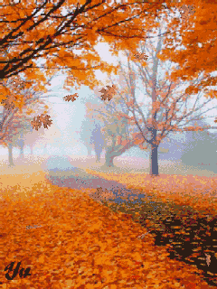 Autumn: fall of the leaves