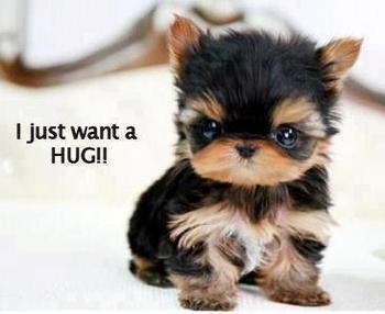 I just want a HUG!