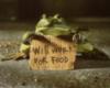LOL frog: Will work for food