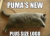 LOLCat: Puma's new logo