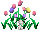 Cute kitten dancing with flowers