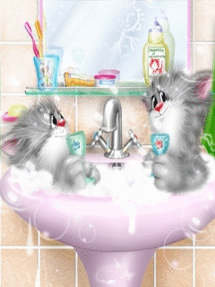 Romantic cats bath