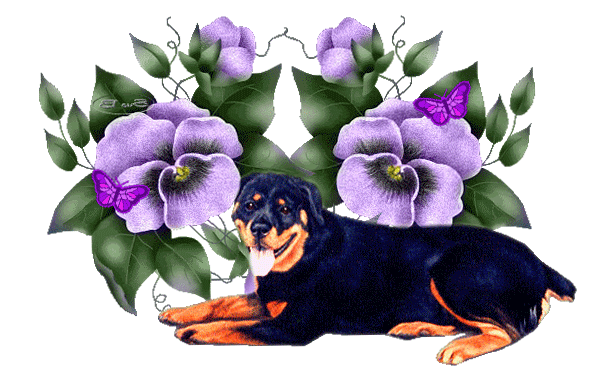 Dog & flowers