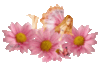 Fairy in a flowers