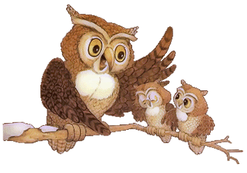 The owl and the chicks