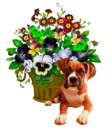 Cute Puppy and flowers