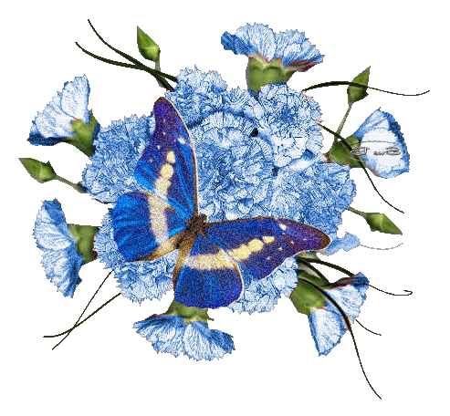 Blue flowers and Butterfly