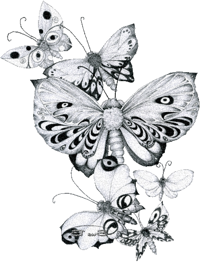 Black-and-white Butterflies