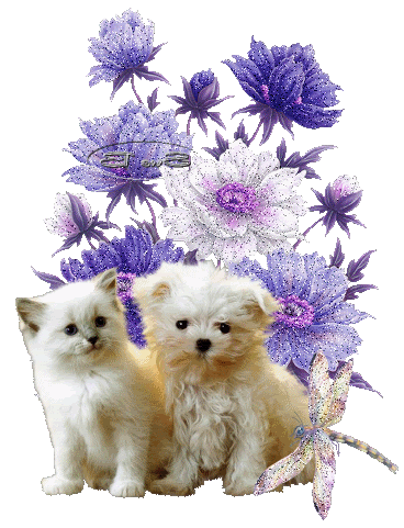 Cute Pets and purple flowers