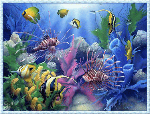 Underwater world :: Animated Pictures :: MyNiceProfile.com