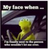 Kermit: my face when...